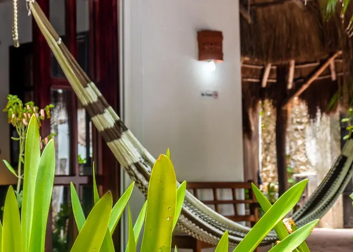Hotel Casaejido Playa del Carmen