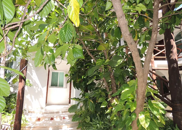 Hotel Casaejido Playa del Carmen